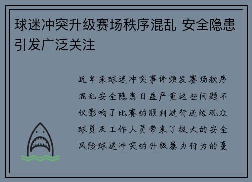 球迷冲突升级赛场秩序混乱 安全隐患引发广泛关注